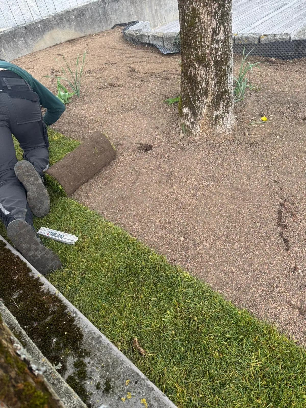 Professionelle Gartenpflege Konstanz – gepflegte Rasenfläche und Beete