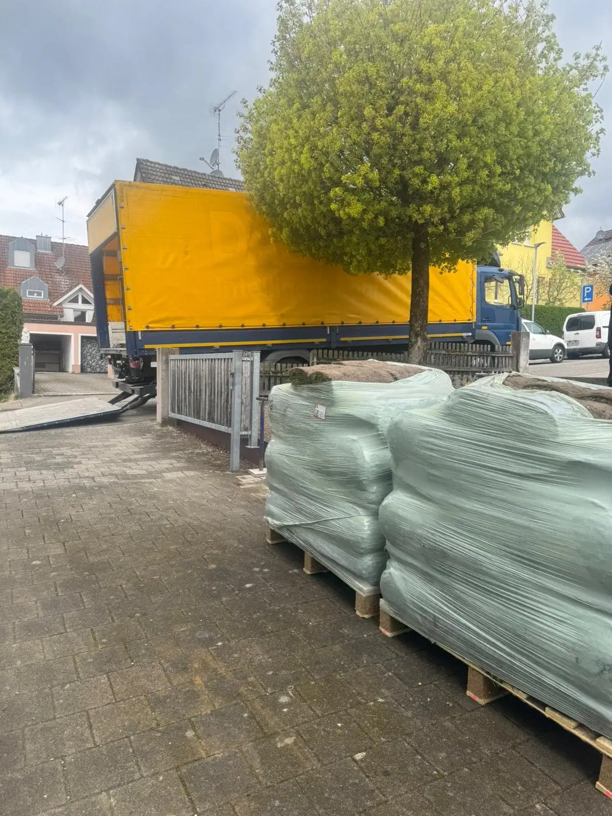 Gartengestaltung Konstanz Bodensee – Gartenanlage im Frühling