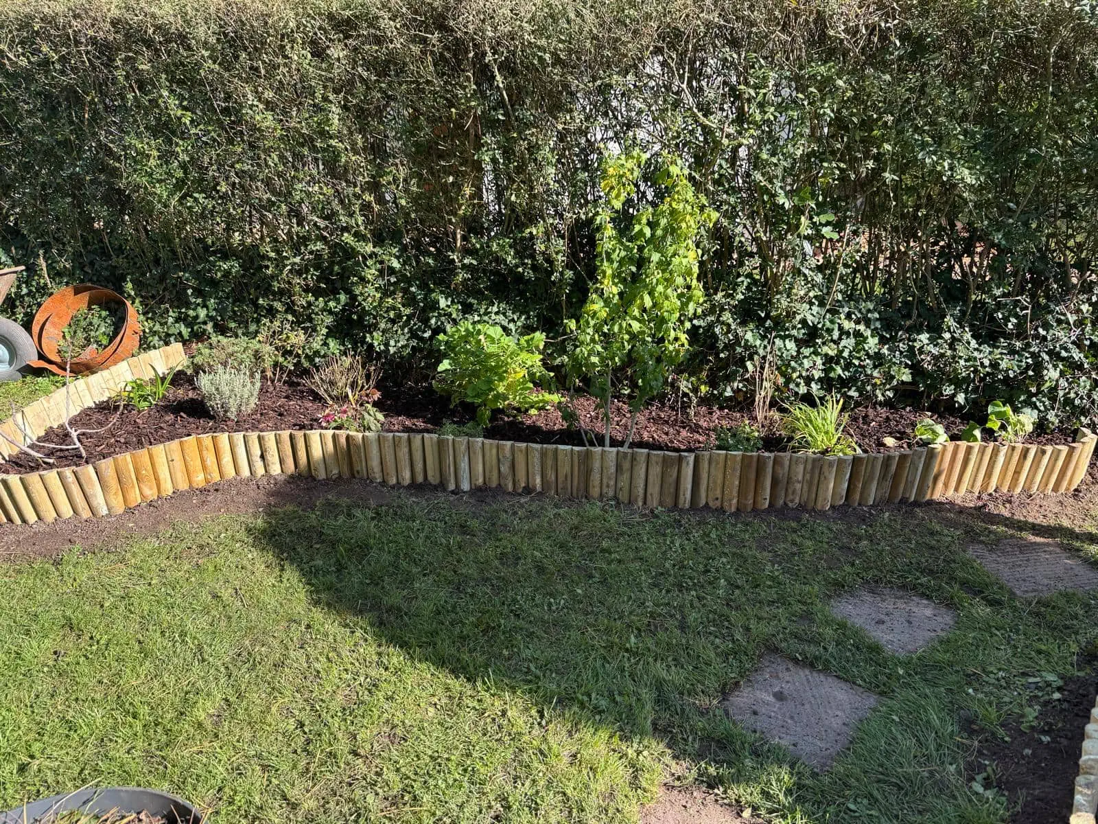 Heckenschnitt Singen – präziser Strauch- und Heckenschnitt von BB Gartenpflege-Gartenbau