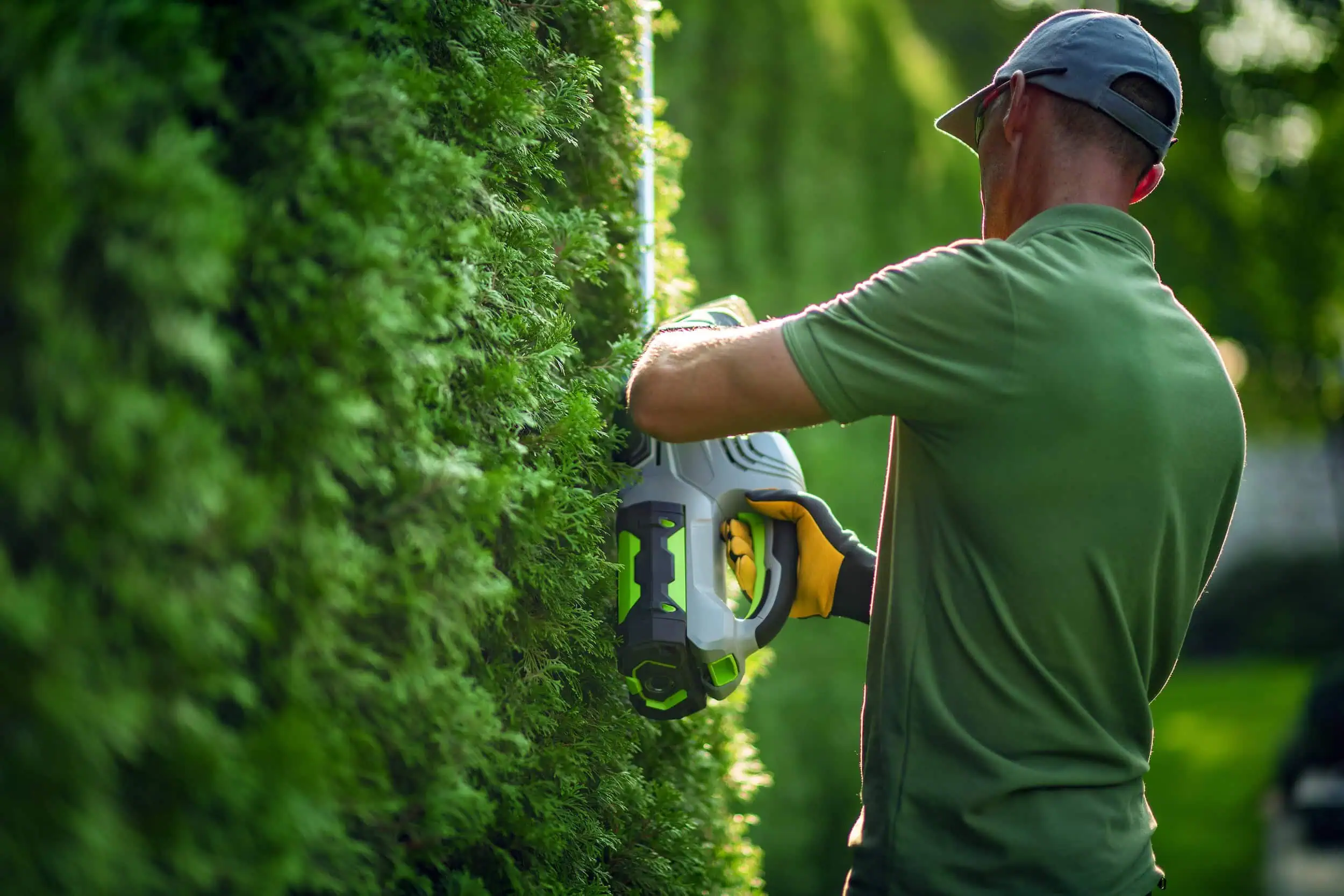Heckenschnitt Konstanz – präzise geschnittene Hecke von BB-Gartenpflege Pinarbasi