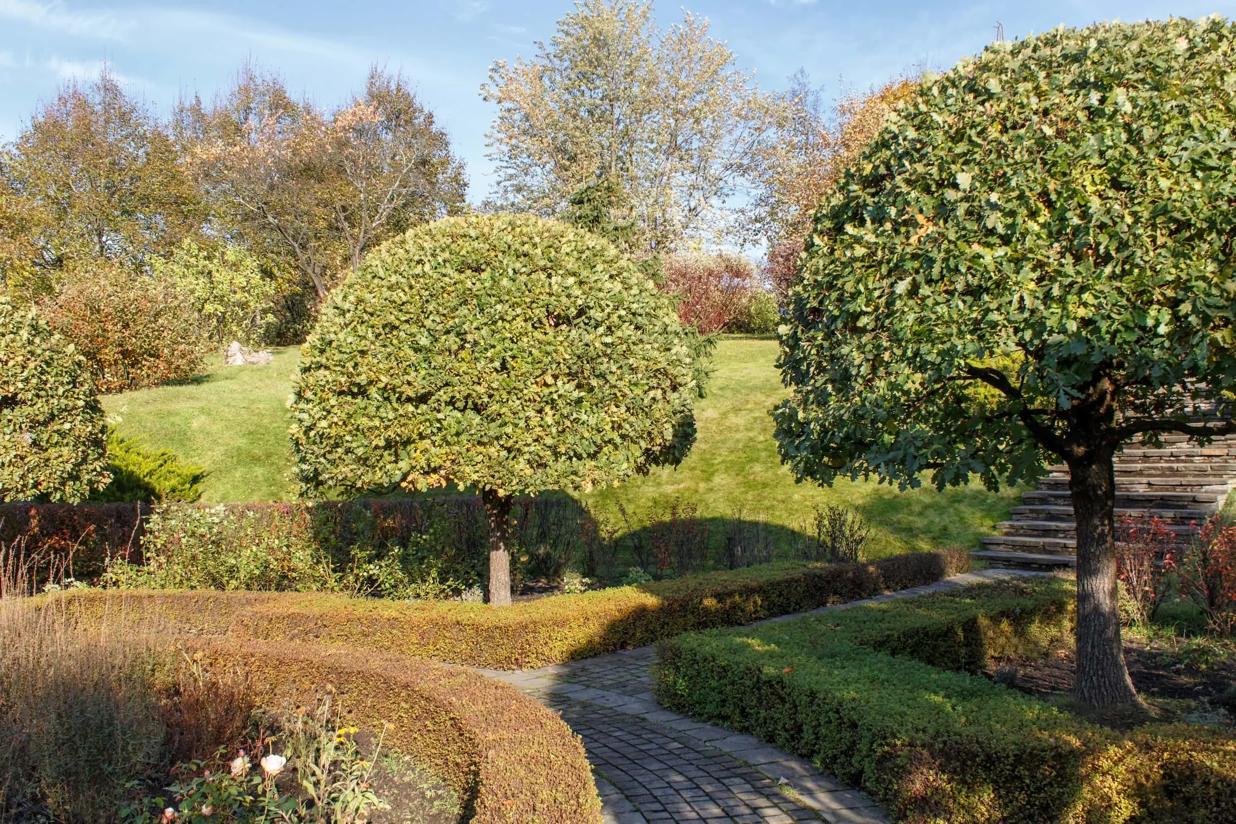 Professionelle Baumpflege in Singen – Kronenschnitt von BB-Gartenpflege Pinarbasi